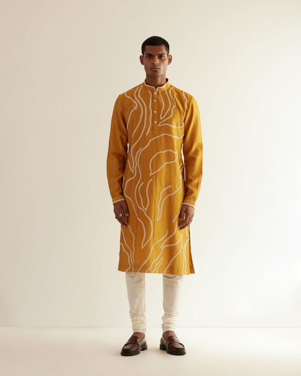 DNA Embroidered Kurta Set