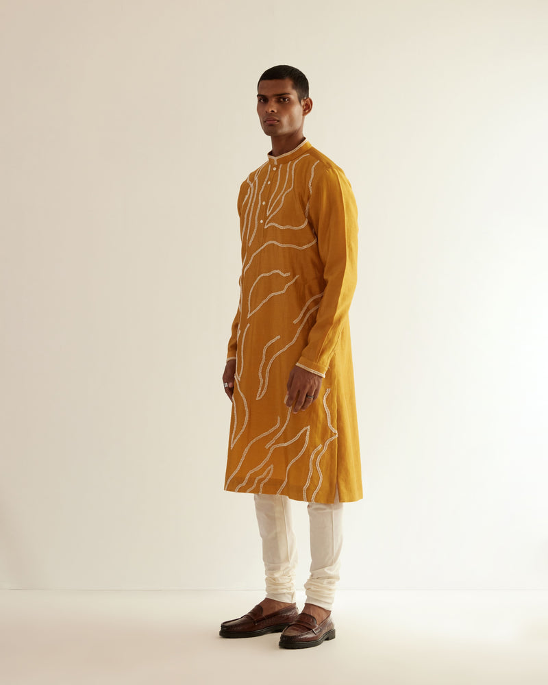DNA Embroidered Kurta Set