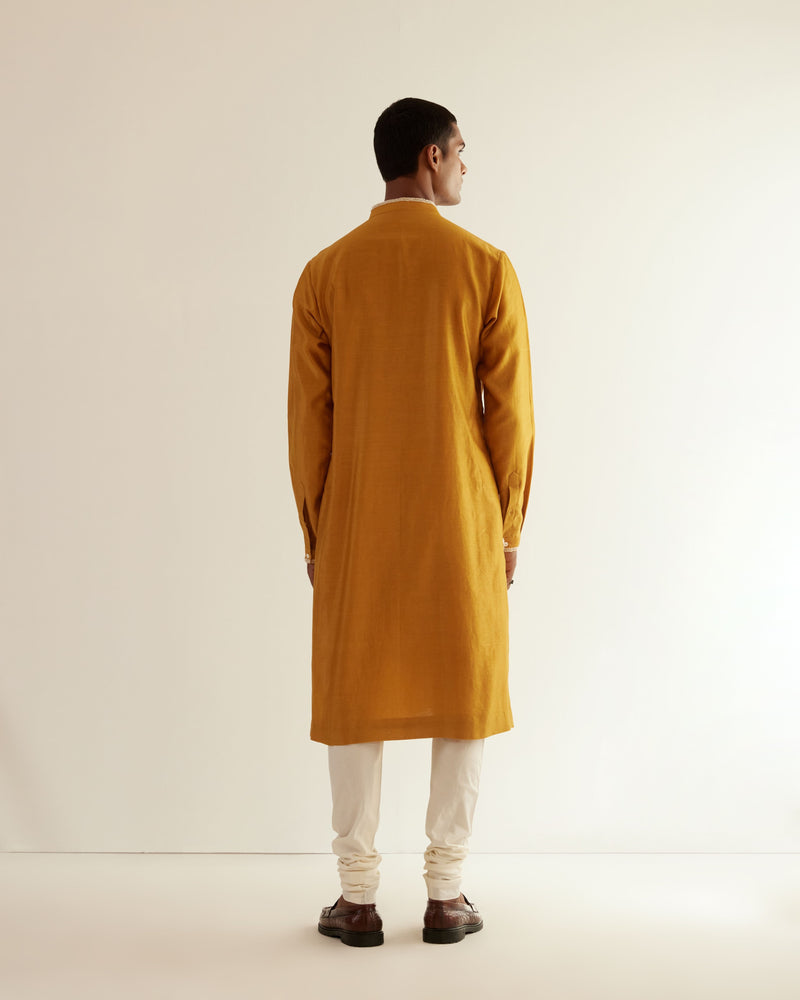 DNA Embroidered Kurta Set