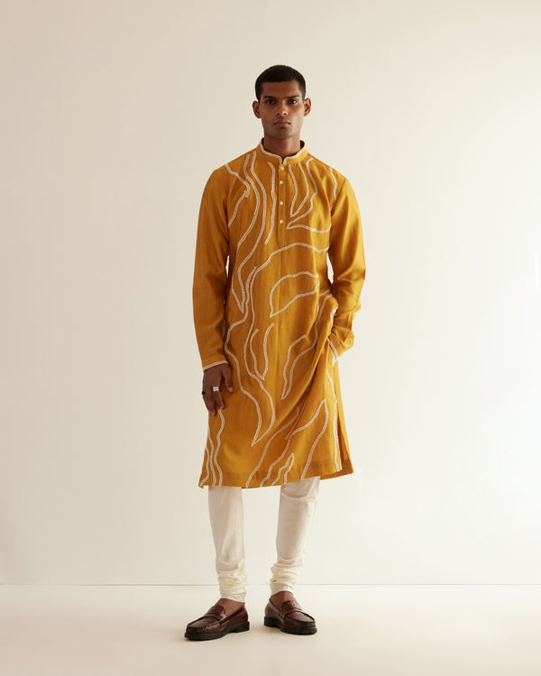 DNA Embroidered Kurta Set