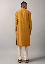 Dhruvtara Hand Embroidered Kurta Set