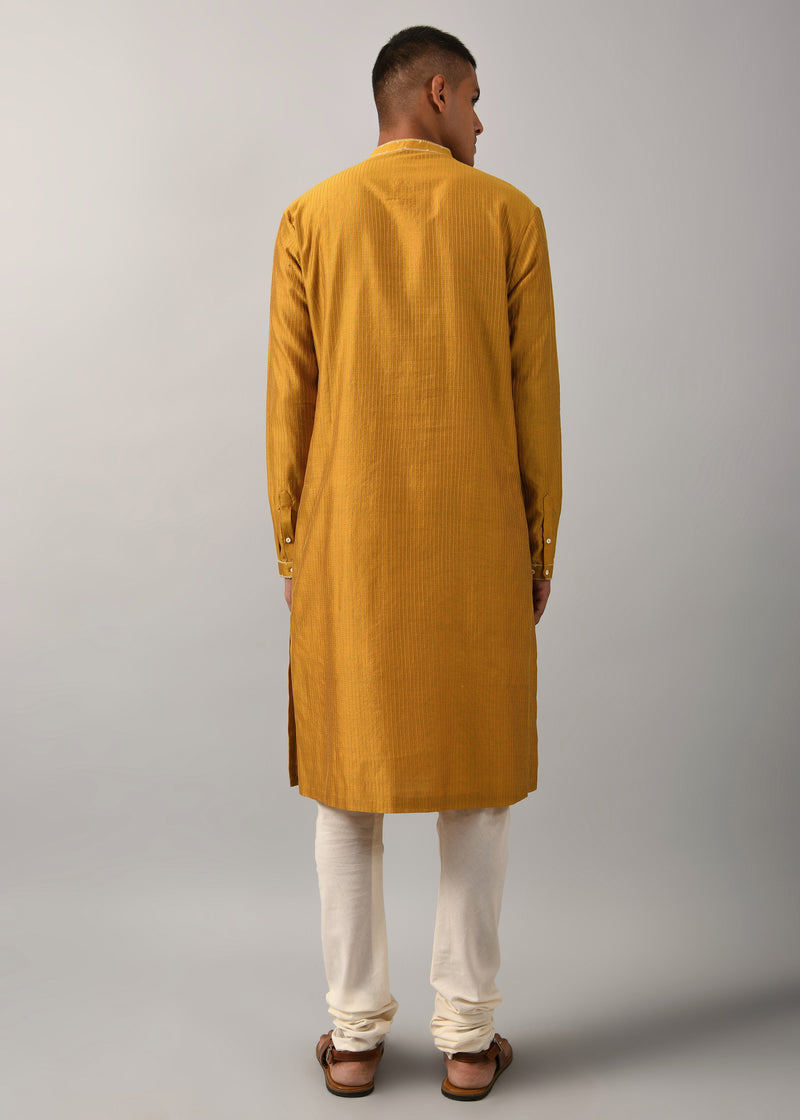 Dhruvtara Hand Embroidered Kurta Set