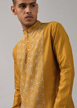 Dhruvtara Hand Embroidered Kurta Set