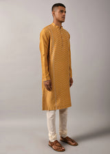 Chevron Hand Embroidered Kurta Set