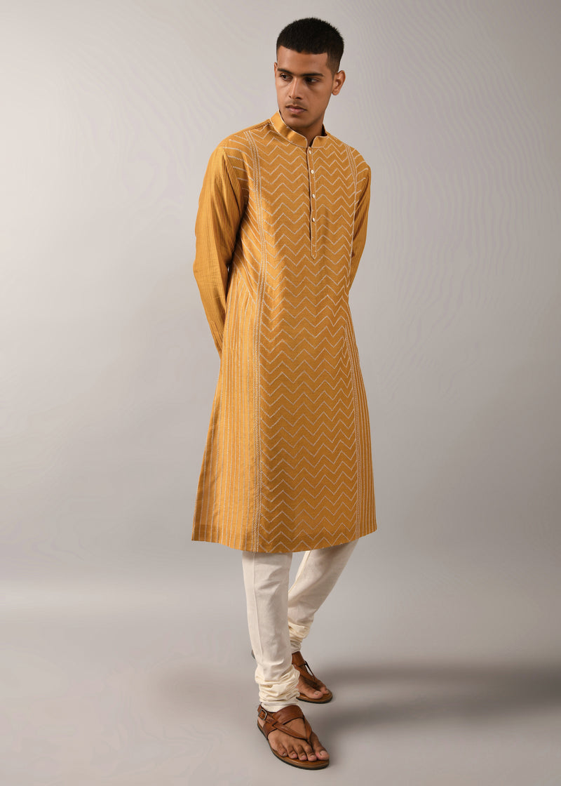 Chevron Hand Embroidered Kurta Set